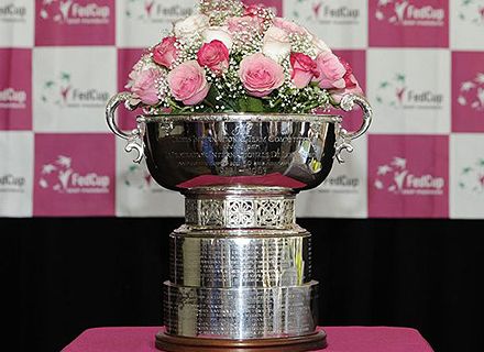 Fed Cup-2011.       -